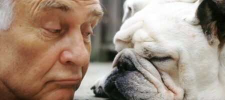 Best Dog Breeds For Seniors